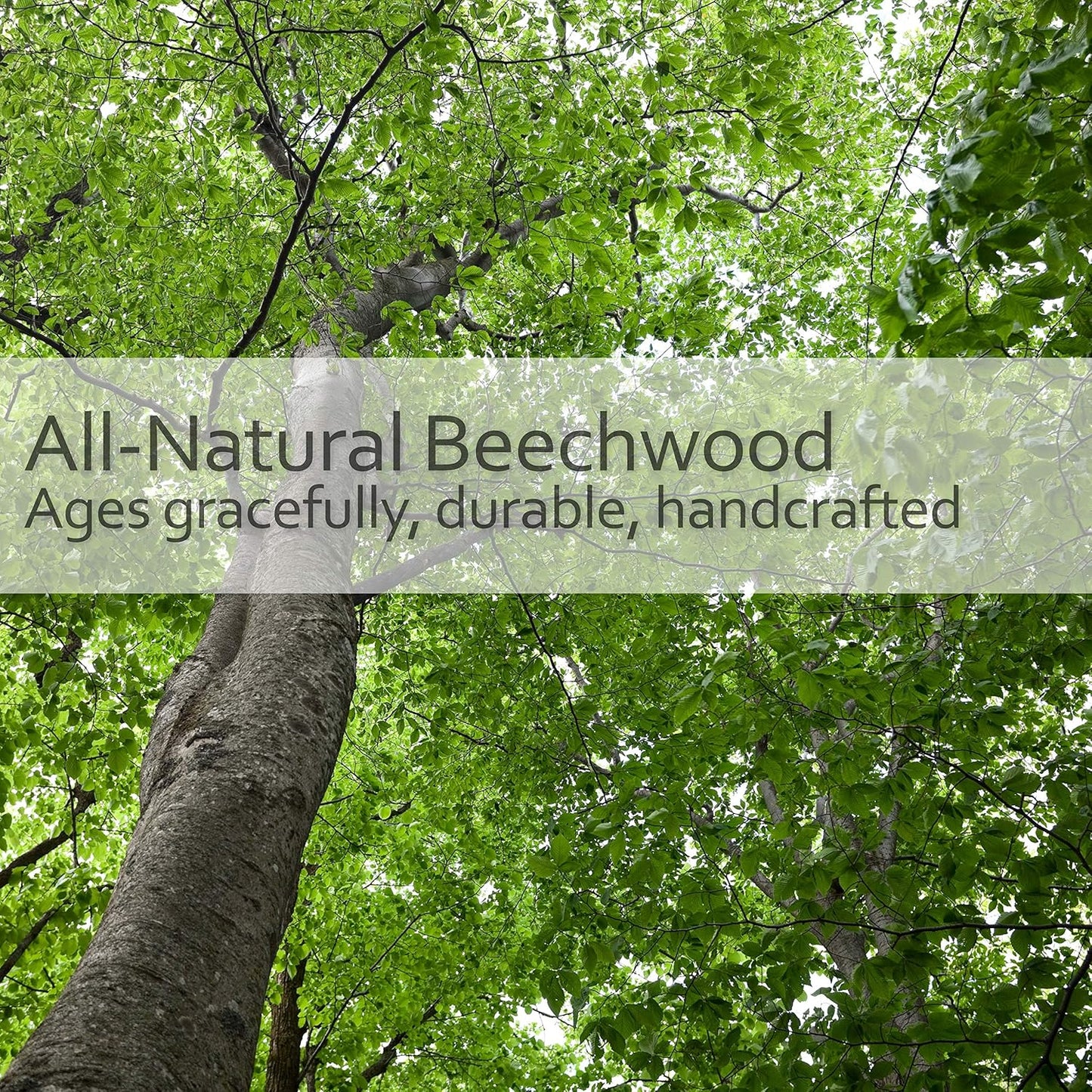 REDECKER Curved Dish Brush, Natural Union Plant Fiber Bristles, Ergonomic Design with Oiled Beechwood Handle, 9-1/4 Inches, Set of 2, Made in Germany - Natural Bristle Dish Brush